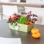 Apartamento Mery's House Montepulciano Stazione