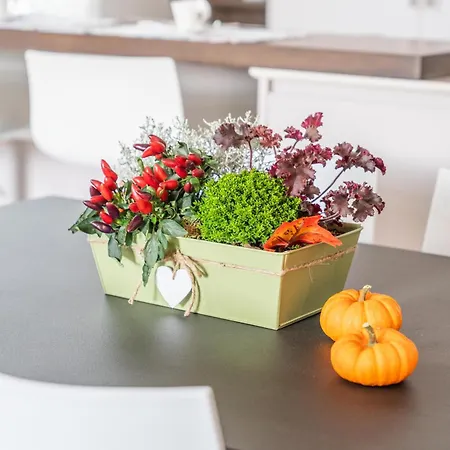 Appartamento Mery's House Montepulciano Stazione